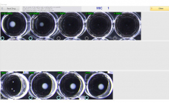 Broth Microdilution