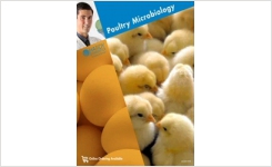 Poultry Microbiology Brochure