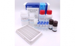 GlutenTox ELISA Rapid G12 Hygiena