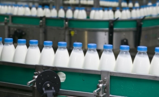 Microbial Solutions for the Dairy, Beverage, and Food Industries