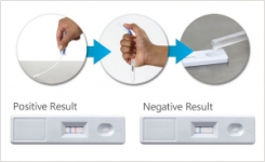 Detect gluten in rinse waters