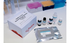 Icosagen SARS-CoV-2 Neutralization test