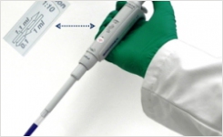 Simple pipette with 2 fixed volumes