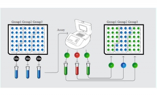 Smart COVID-19 Pool-Testing Software Gets Boost by Microsoft and XPRIZE