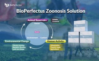 From Spillover to Signal Why Zoonotic Testing Is Now a One Health Imperative nbsp 