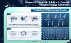 Rapid and PCR solutions for Dengue Zika Yellow Fever