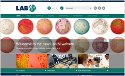 Lab M Website