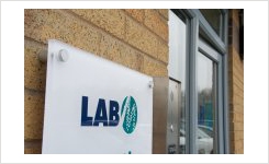 Lab M