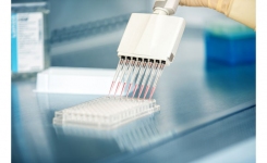 multichannel pipette