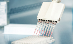 MAT pyrogen ELISA test