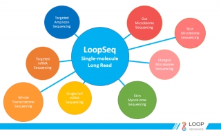 Long-Read Sequencing Interrogates Every 16S HVR in the Microbiome