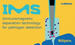 Immunomagnetic Separation