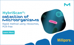 Hybriscan Dectection of Microorganisms