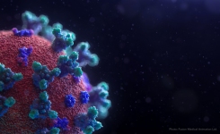 SARS-CoV-2 molecular QC standards