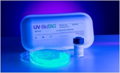 QC Strains with GFP