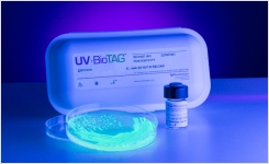 green fluorescent protein GFP marked Listeria QC strain