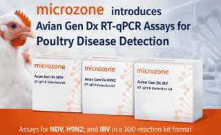 Microzone Introduces Avian Gen Dx RT-qPCR Assays for Poultry Disease Detection