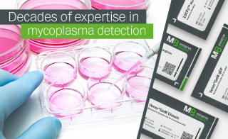 Unexplained Cell Culture Results? Hidden Mycoplasma Contamination Could Be the Cause  