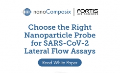 nanocomposix White Paper
