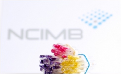 NCIMB strains used for biofilm investigation