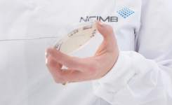 NCIMB Isolate on Plate