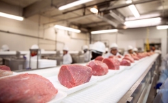 cuts of meat are shown on a food production line