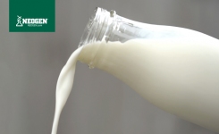 Dairy Microbial testing