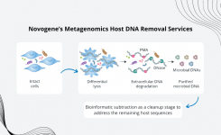 Host DNA depletion for shotgun metagenomic sequencing
