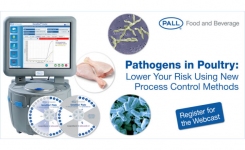 Detect Campylobacter and Salmonella in Poultry