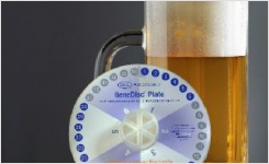 GeneDisc Beer Spoilage Bacteria in under 2 Hours