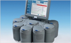 Pall GeneDisc Food Pathogen PCR
