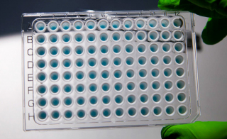 Achieve Precision Quantification in Every Reaction With qPCRBIO SyGreen<sup>®</sup> Mixes