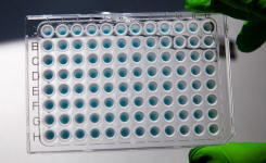qPCRBIO SyGreen Blue Mix contains a blue dye for sample visualisation ideal for high throughput