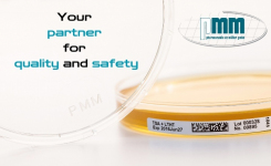 Plate Design Optimization