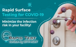 rapid surface testing for SARS Cov 2 the coronavirus that causes Covid 19
