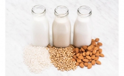 bottles of plant based milk and the cereals they are prepared from