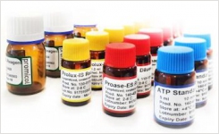 Rapid Microbial Testing with ATP
