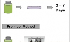 ATP testing for personal care products