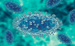 Monkeypox virus