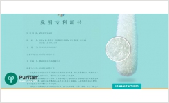 Chinese Patent for Puritan Flocked Swabs