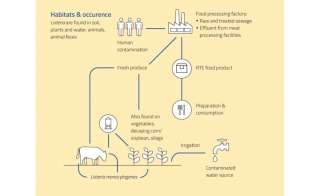 The Ongoing Risk of Listeria