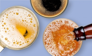 Beer Spoilage Organisms These are the Microorganisms you Should Monitor in Your Brewery