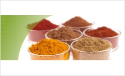 Test spices allergen ELISA PCR