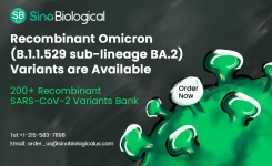Recombinant Omicron Variants are Available