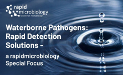 Rapid detection solutions for water borne pathogens