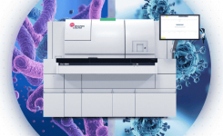 Bacterial vs Viral Infection Results in Approximately 20 Minutes