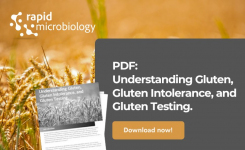 Gluten
