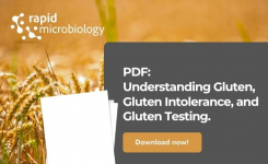 Gluten