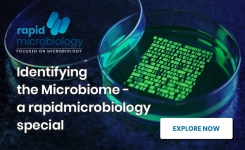 Commercial Microbiome Identification Services