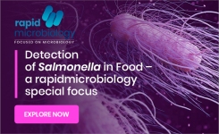 Detection of Salmonella in Foods